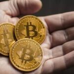 Beyond management- the role of a team leader in today’s dynamic workplace