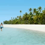 Beyond Traditional Investments: Exploring Mutual Fund Options