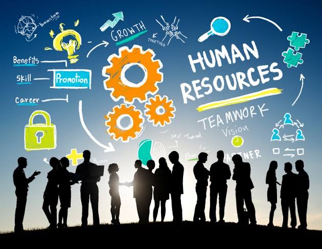 Building Effective Human Resources Strategies